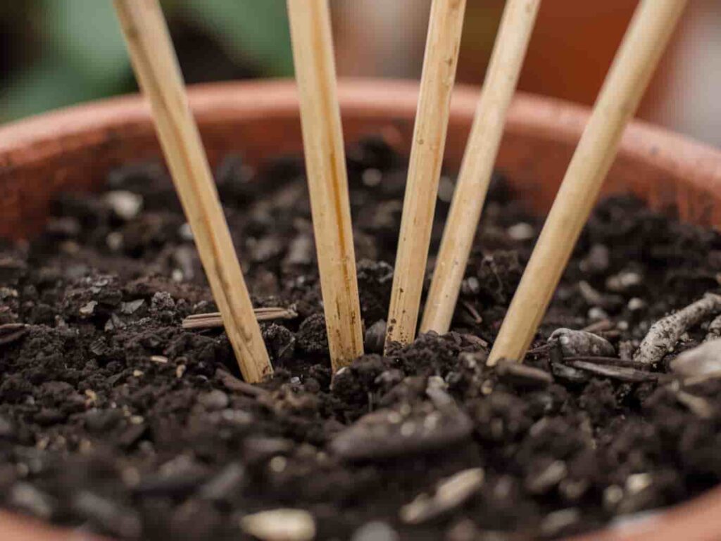 Fertilizer Sticks & Spikes