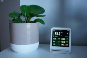 ideal temperature for indoor plants