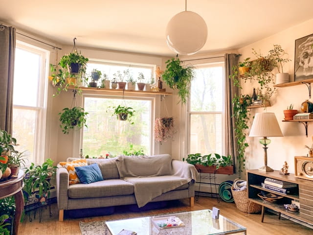 indoor plants