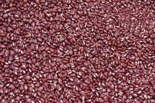 Adzuki Beans seeds