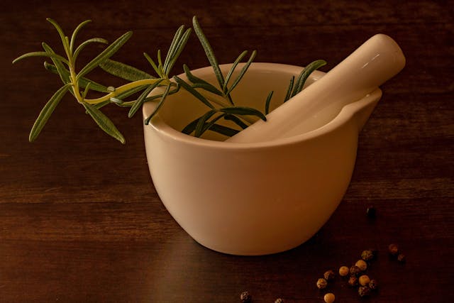 what indoor plant is good for sinusitis