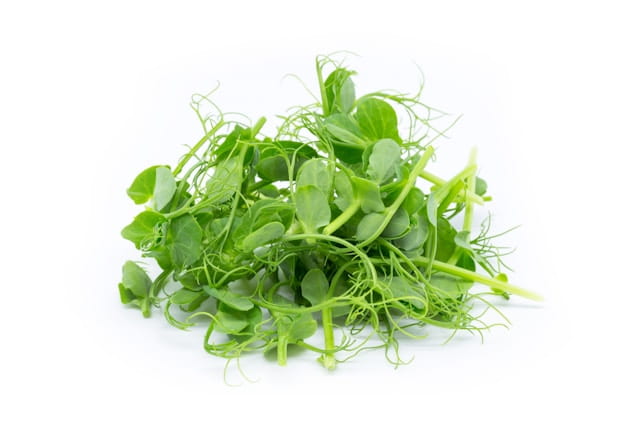 Are pea shoots sprouts or microgreens