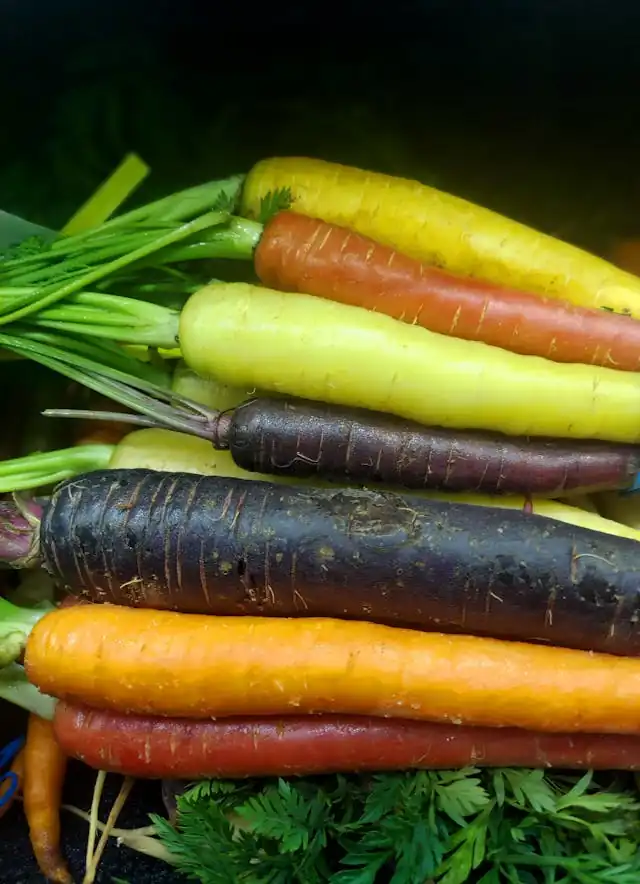 Best Carrot Varieties for Containers