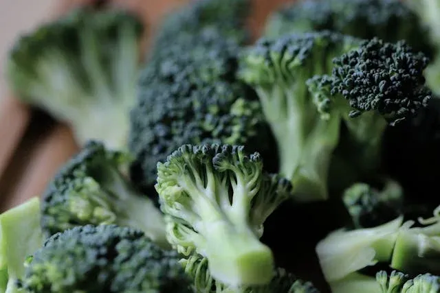 Broccoli Microgreens